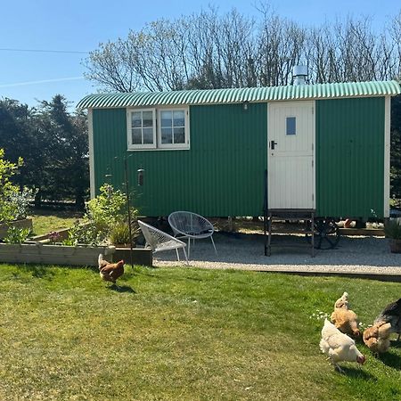 Toms Hut And Robins Rest Shepherd Huts Near Wadebridge Eksteriør bilde