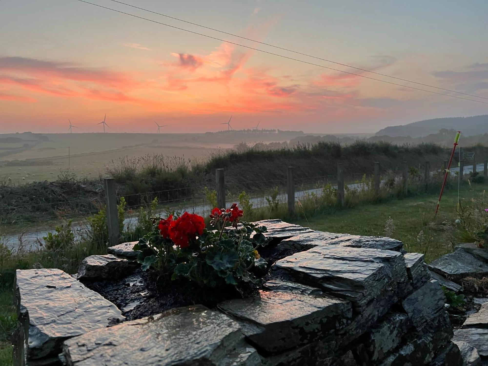 Toms Hut And Robins Rest Shepherd Huts Near Wadebridge Eksteriør bilde