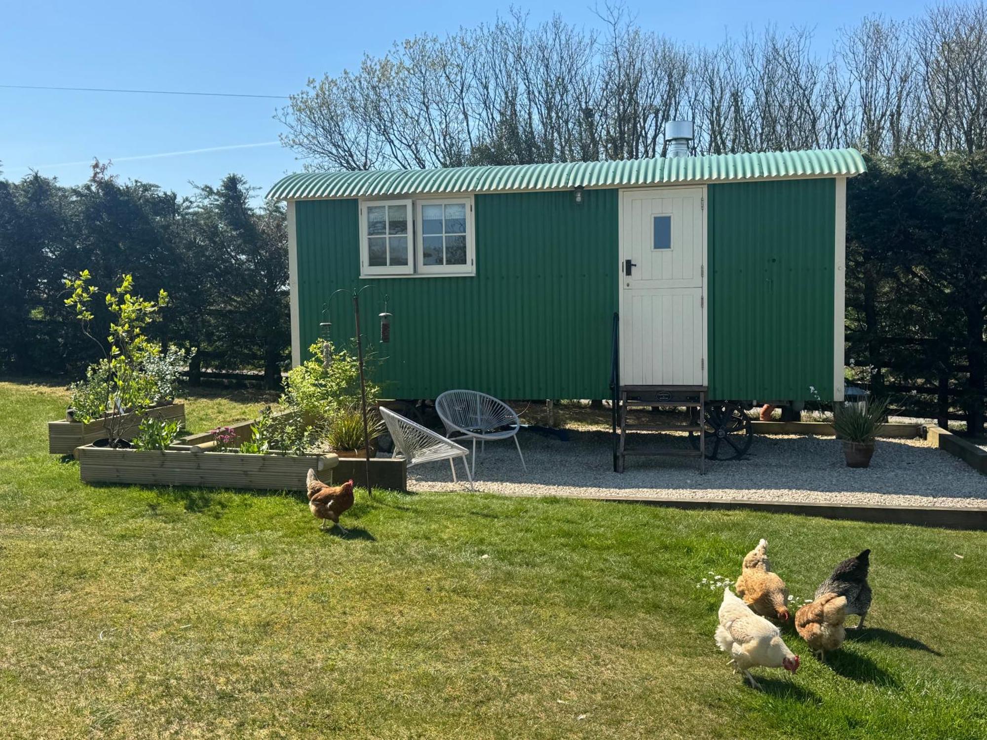 Toms Hut And Robins Rest Shepherd Huts Near Wadebridge Eksteriør bilde